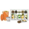 imageTea Forte Single Steeps Starter Set  Essentials Green Tea  Kati Cup Chakra Tea Gift Set