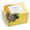 imageTea Forte Demoiselle 3Piece Premium Tea Gift Set with Indigo Cafe Cup and Lid Tea Tray and 10 Count Mini Presentation Box 2 of Each Variety Handcrafted Pyramid Infuser Tea BagsSoleil