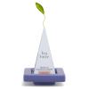 imageTea Forte Demoiselle 3Piece Premium Tea Gift Set with Indigo Cafe Cup and Lid Tea Tray and 10 Count Mini Presentation Box 2 of Each Variety Handcrafted Pyramid Infuser Tea BagsDemoiselle