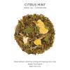 imageTea Forte Citrus Mint Premium Loose Leaf CaffeineFree Herbal Tea Blend Canister Makes 3550 CupsCitrus Mint