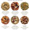 imageTea Forte Warming Joy Holiday Premium Assorted Tea Advent Calendar Gift Set of 24 Individually Wrapped Handcrafted Pyramid Infuser Tea Bags with Numbered Doors 1 of each BlendDemoiselle