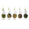 imageTea Forte Warming Joy Holiday Premium Petite Presentation Box Gift Set Sampler 10 Count 2 of Each Blend Individually Wrapped Handcrafted Pyramid Infuser BagsGreen Tea