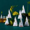 imageTea Forte Warming Joy Holiday Premium Presentation Box Gift Set Sampler 20 Count 4 of Each Blend Individually Wrapped Handcrafted Pyramid Infuser BagsDemoiselle