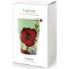 imageTea Forte DoubleWalled Ceramic Kati Cup Removable Stainless Steel Infuser Basket and Lid Steeps 12 oz Loose Leaf Tea Dishwasher ampamp Microwave Safe JubileeFleur