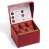 imageTea Forte Warming Joy Gift Set with Caf Cup Tea Tray and 10 Tea Infusers