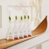 imageTea Forte Winter Chalet Premium Petite Presentation Box Gift Set Sampler 10 Count 2 of Each Blend Individually Wrapped Handcrafted Pyramid Infuser Bags