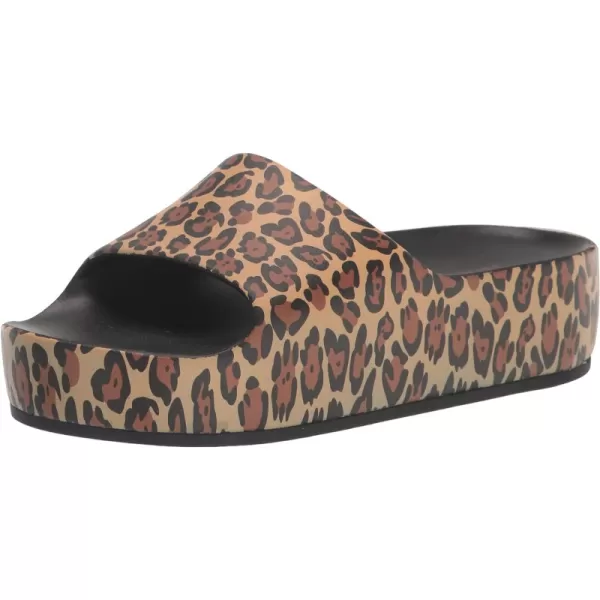 Brown Leopard 101