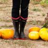 imageHISEA Women Mud Boots Neoprene Rubber Garden Shoes Waterproof Mid Calf Rain Boots for OutdoorBlack