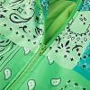imageCHARTOU Womens Cute Stand Collar Paisley Quilted Puffer Crop Down Alternative Jacket CoatGreen