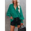 imageCHARTOU Womens Oversized Spread Collar Stripes Bishop Sleeve Sheer Blouse ShirtDark Green