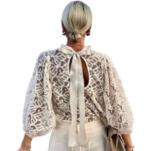 imageCHARTOU Women Dressy Causal Lace Blouse Tie Back Long Sleeve Sheer Shirt TopsWhite