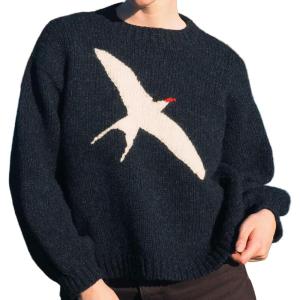 imageCHARTOU Women Fall Oversized Sweater Cute Insect Pattern Knit Pullover Sweater Crew Neck Short JumperBlack