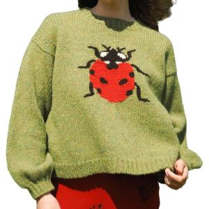imageCHARTOU Women Fall Oversized Sweater Cute Insect Pattern Knit Pullover Sweater Crew Neck Short JumperGreen Ladybird