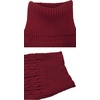 image:imageCHARTOU Womens 2 Piece Sweater Dress Sets Cable Knit Turtleneck Jumper Tank Dress Sheath OutfitsWine Red