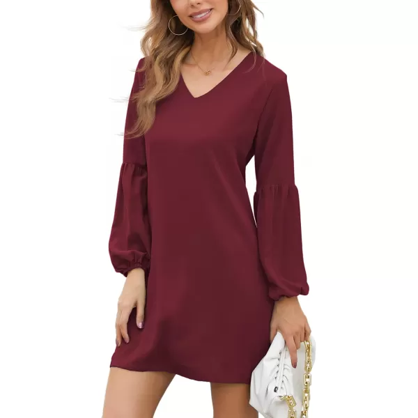 BELONGSCI Womens 2023 Summer Dress Tunic Dress V Neck Casual Loose Flowy Swing Shift DressesS2 Wine Red