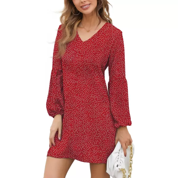 BELONGSCI Womens 2023 Summer Dress Tunic Dress V Neck Casual Loose Flowy Swing Shift DressesS2 Wine Red Polka Dots16