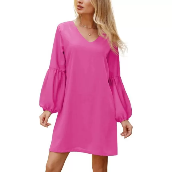 BELONGSCI Womens 2023 Summer Dress Tunic Dress V Neck Casual Loose Flowy Swing Shift DressesS2 Rose