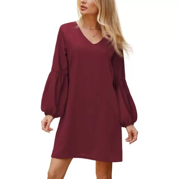 BELONGSCI Womens 2023 Summer Dress Tunic Dress V Neck Casual Loose Flowy Swing Shift DressesS2 Wine Red