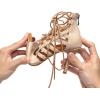 imageJUODVMP Women Latin Dance Shoes Cross Straps Stiletto Heel peep Toe Ballroom ChaCha High Heel Dance Shoes Model YCL552Ycl552beige33 Heelzg428r