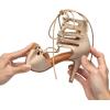 imageJUODVMP Women Latin Dance Shoes Cross Straps Stiletto Heel peep Toe Ballroom ChaCha High Heel Dance Shoes Model YCL552Ycl554beige33 Heelzg428