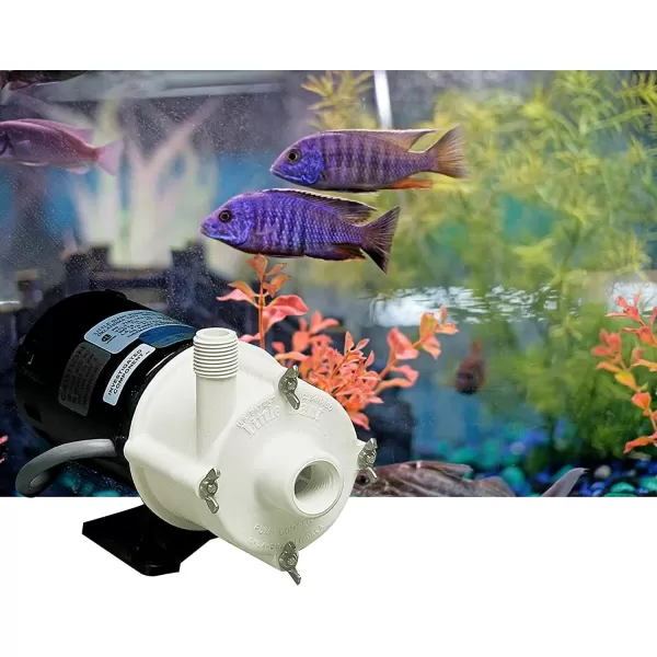 Little Giant 4-MDQX-SC 115-Volt, 1/10 HP, 1225 GPH, Non-Submersible Magnetic Drive Free Flow Aquarium Circulation Pump, 6-Ft. Cord, Black/White, 582507