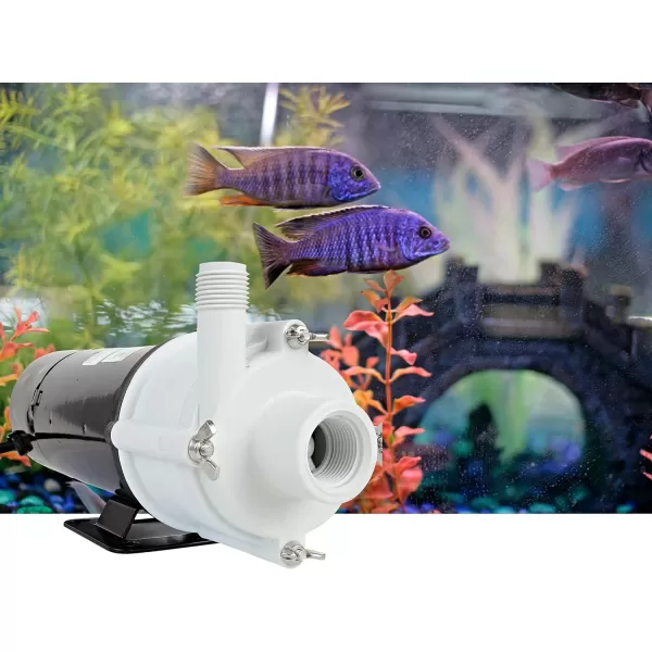 Little Giant 4-MDQX-SC 115-Volt, 1/10 HP, 1225 GPH, Non-Submersible Magnetic Drive Free Flow Aquarium Circulation Pump, 6-Ft. Cord, Black/White, 582507