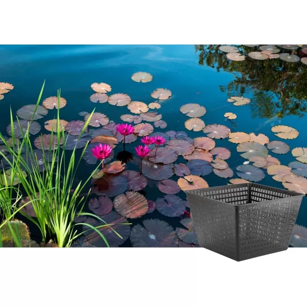 Little Giant 566556 UPB-1212-PW Square Aquatic Plant Basket for Ponds, 11.35 inches Square x 7.35 inches high, Black, 566556)