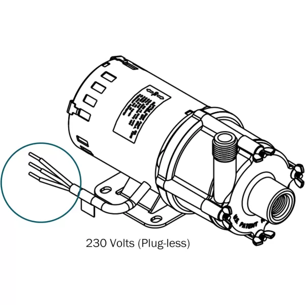 Little Giant 2-MD-HC 230 Volt, 1/30 HP, 510 GPH Magnetic Drive Highly Corrosive Chemical Transfer Pump, 6-Ft. Cord , Black 580613