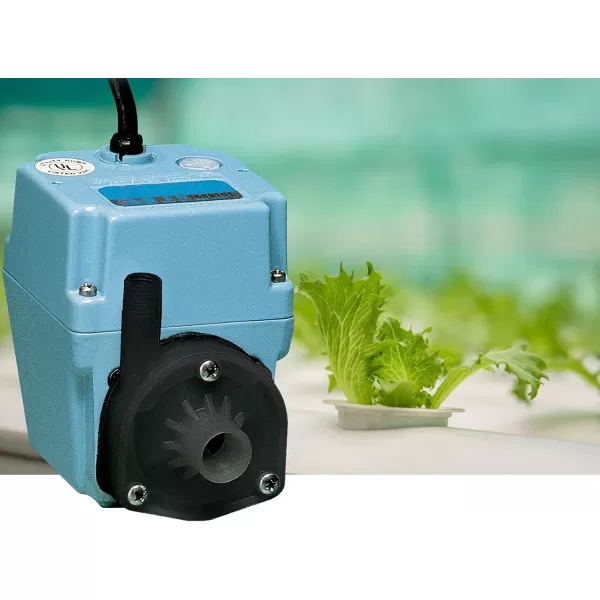 Little Giant 2E-38NT 115 Volt, 300 GPH, 1/40 HP, Manual, In-line/Submersible Small Oil-filled Aluminum Pump with 10-Ft. Cord, Blue, 502286)