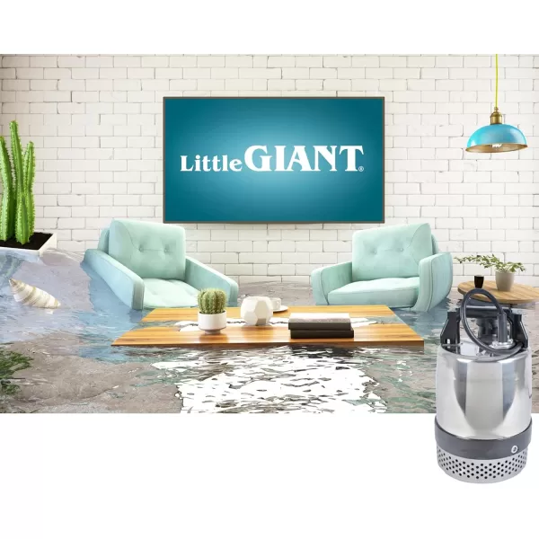 Little Giant FS-750 115-Volt, 4800 GPH, 1 HP Heavy-Duty Manual Stainless Steel Submersible Utility Pump with 20-Ft. Cord, Steel, 620241