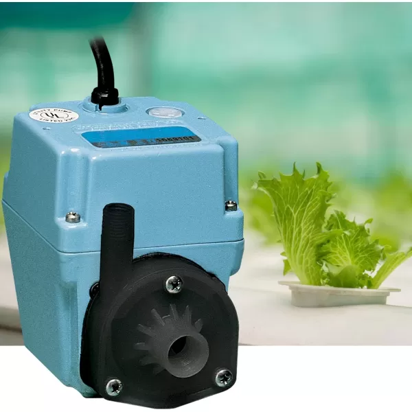 imageLittle Giant 2E38NY 230 Volt 300 GPH 140 HP Manual InlineSubmersible Small Oilfilled Aluminum Pump with 12ft Cord Plugless Blue 502216115Volt  10Ft Cord