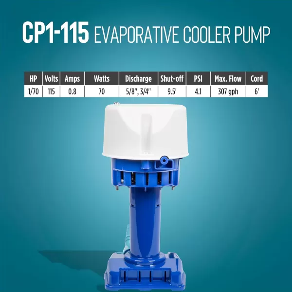 imageLittle Giant CP1230 170 HP 230 Volt 307 GPH Evaporative Cooler Pump with 6ft Cord and 3Prong Plug Blue 540015115 Volt  5000  7500 CFM