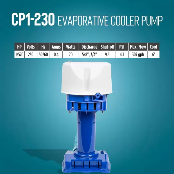 imageLittle Giant CP1230 170 HP 230 Volt 307 GPH Evaporative Cooler Pump with 6ft Cord and 3Prong Plug Blue 540015230 Volt  5000  7500 CFM