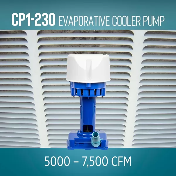 imageLittle Giant CP1230 170 HP 230 Volt 307 GPH Evaporative Cooler Pump with 6ft Cord and 3Prong Plug Blue 540015230 Volt  5000  7500 CFM