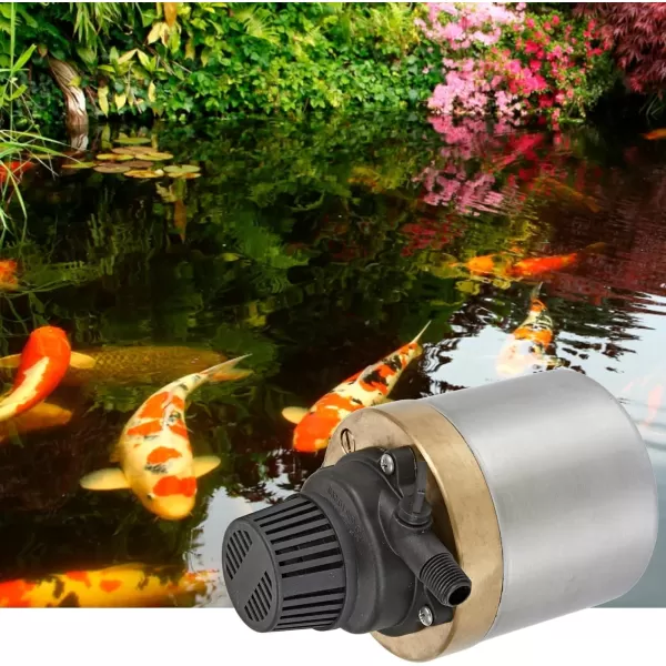 imageLittle Giant S580PT20 115 Volt 740 GPH Oilless Stainless Steel and Bronze Direct Drive Pump for Fresh or Salt Water Ponds or Fountains Steel 517100002795 GPH