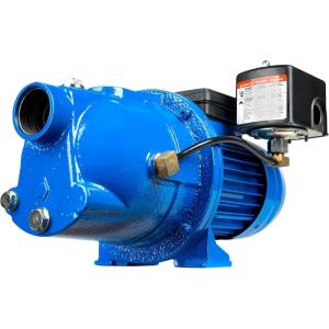 imageLittle Giant Select Series LGSWJ50 12 HP 126 GPM Dual Voltage 115230 Volts Cast Iron Shallow Well Jet Pump Blue 97080504