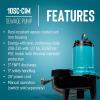 imageLittle Giant 10SCCIM 208230Volt 7200 GPH 12 HP Manual Cast Iron SewageEffluent Pump No Switch with 2inch FNPT Discharge and 20Ft Cord Blue 511438208230V  3  20 Cord  No Switch