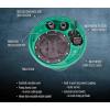 image:imageLittle Giant 9SF2V2D Pit Plus SR Sewage Basin System with 115Volt 410 HP 6000 GPH 9SCCIM Sewage Pump and 20Ft Cord GreenBlueBlack 50966120x30  10SCCIM  ECM Switch  No Alarm  2 Vent