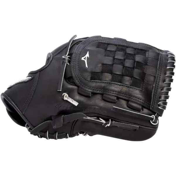 Mizuno Pro Baseball Glove Series | Pro Player Models