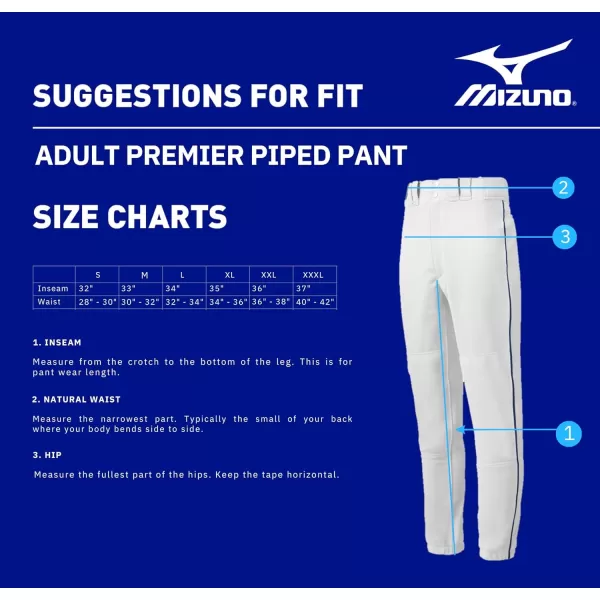 Mizuno Adult Men's Premier Piped Baseball Pant