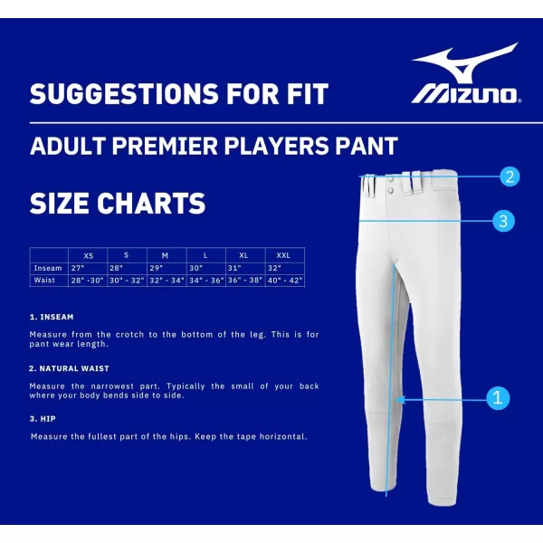 Mizuno Adult Men's Premier Players Baseball Pant