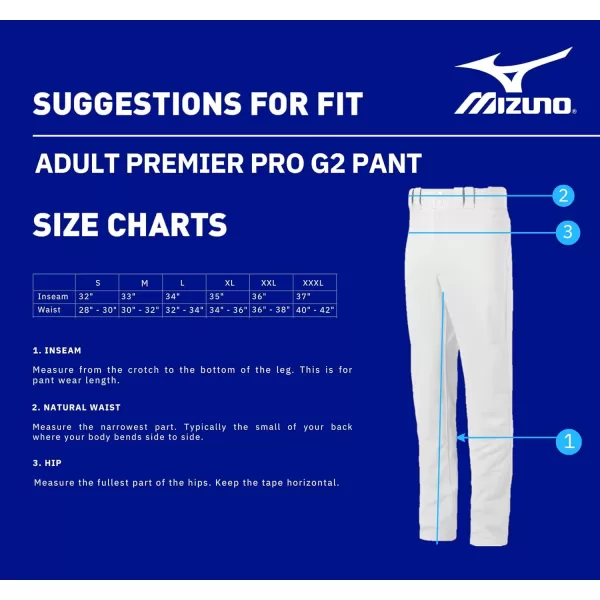 Mizuno Adult Men's Premier Pro Baseball Pant G2