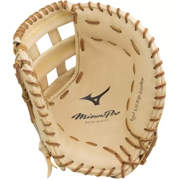 Mizuno Pro Baseball Glove Series