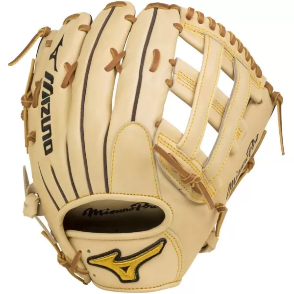 Mizuno Pro Baseball Glove Series