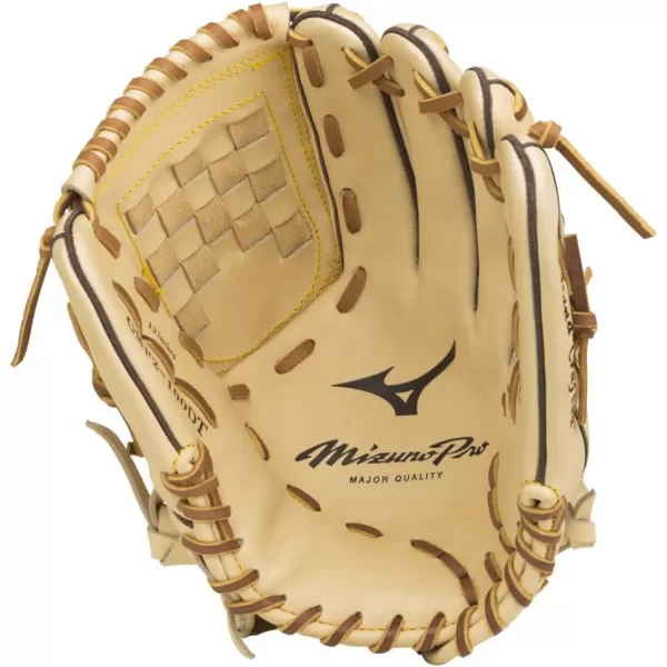 Mizuno Pro Baseball Glove Series