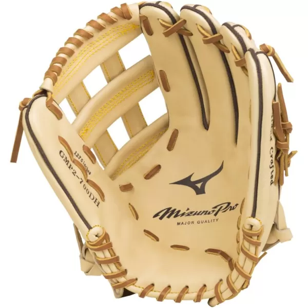 Mizuno Pro Baseball Glove Series