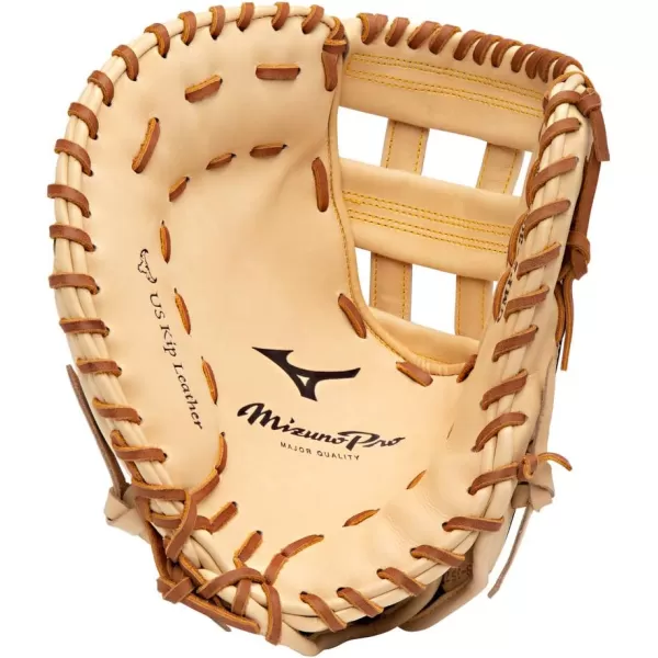 Mizuno Pro Baseball Glove Series