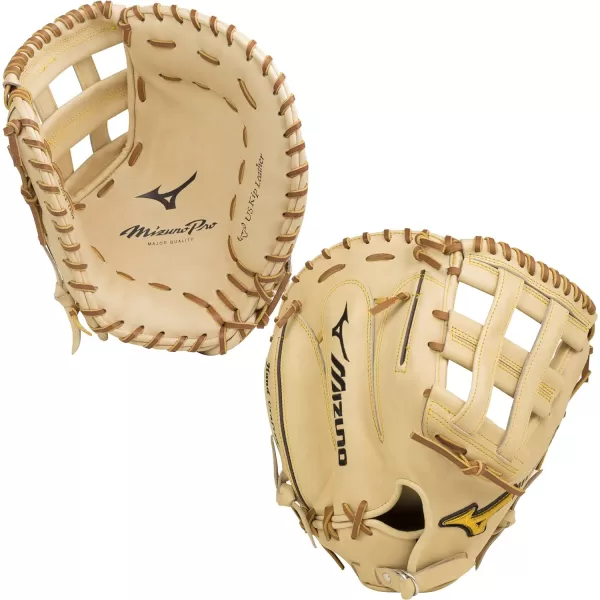 Mizuno Pro Baseball Glove Series