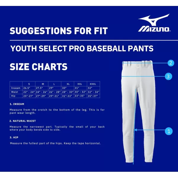 Mizuno Youth Premier Players Baseball Pant