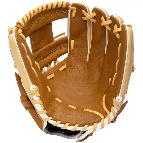 Mizuno Franchise Baseball Glove Series